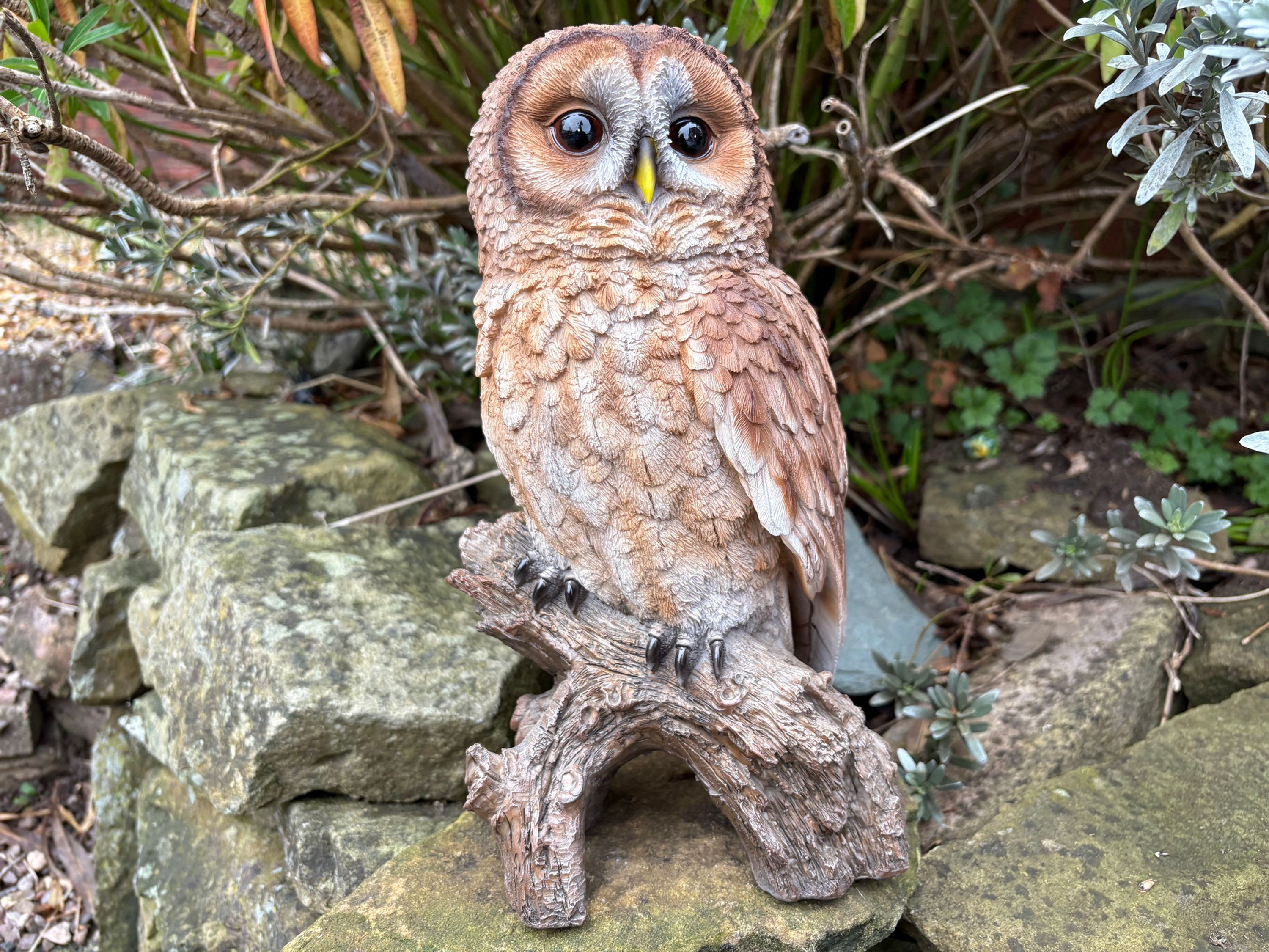 Vivid Arts - Tawny Owl