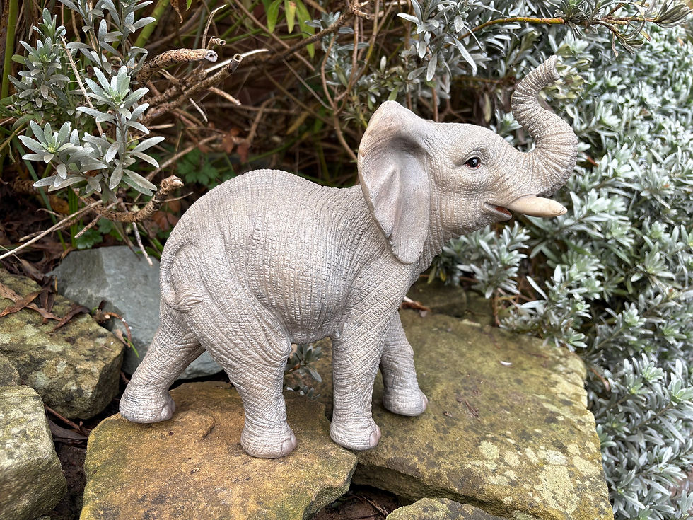 Thumbnail: Vivid Arts - Elephant 