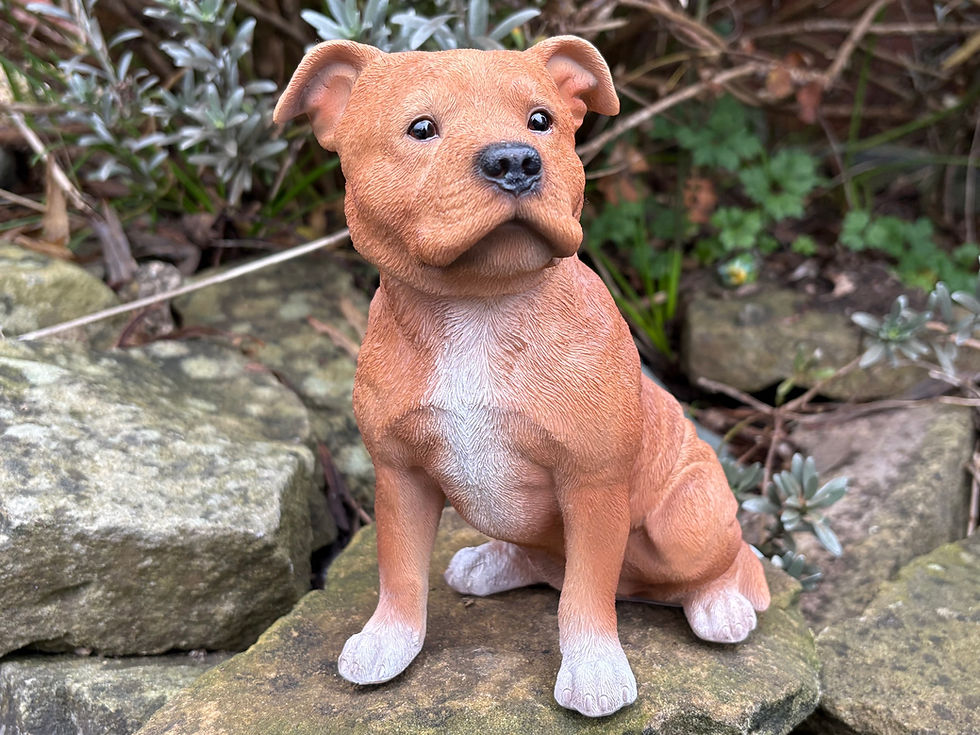 Thumbnail: Vivid Arts - Staffordshire Bull Terrier - Brown