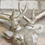 Thumbnail: Large Silver Stag Head