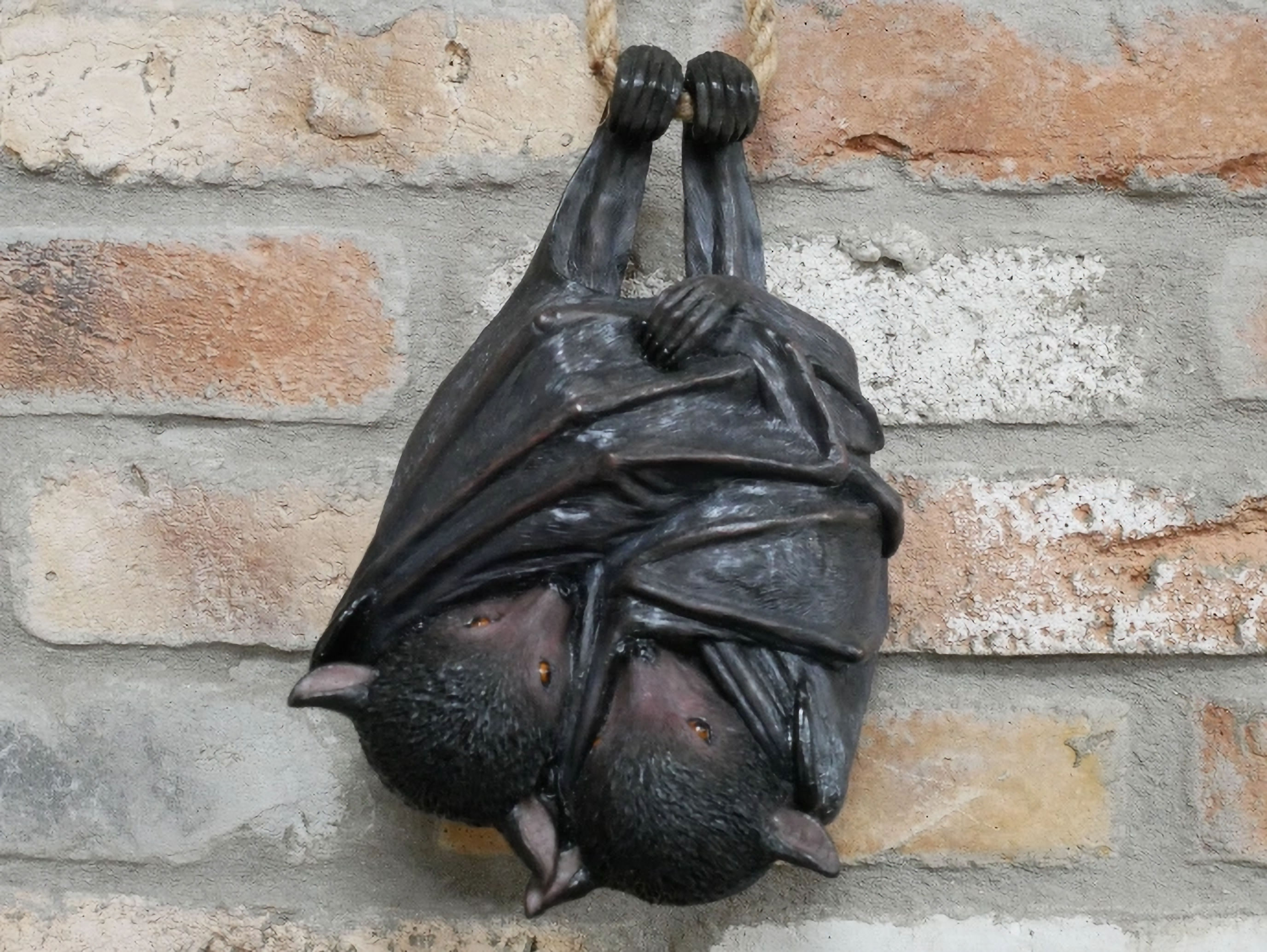 Hanging Bats