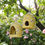 Thumbnail: Yellow Ceramic Honey Birdhouse