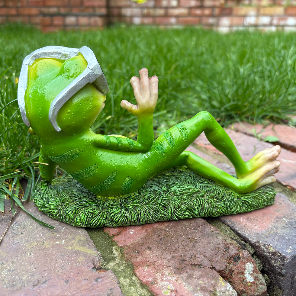 Thumbnail: Chilling Frog Garden Ornament