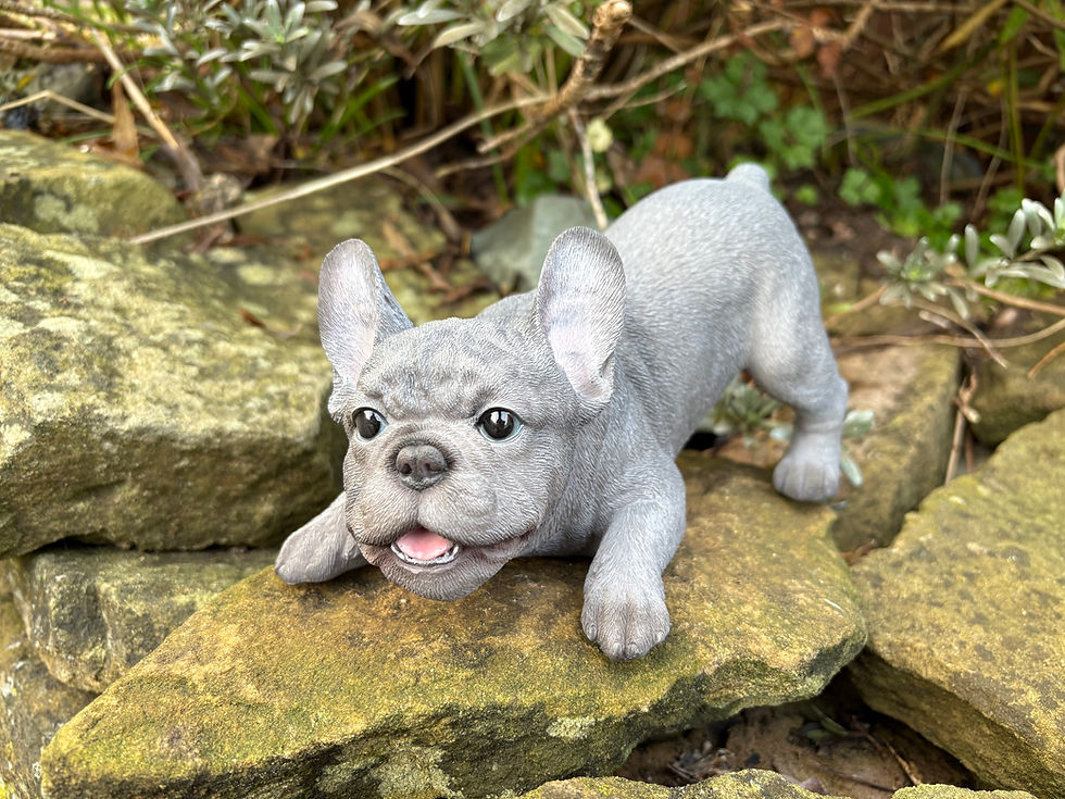 Thumbnail: Vivid Arts - Playing Blue French Bulldog
