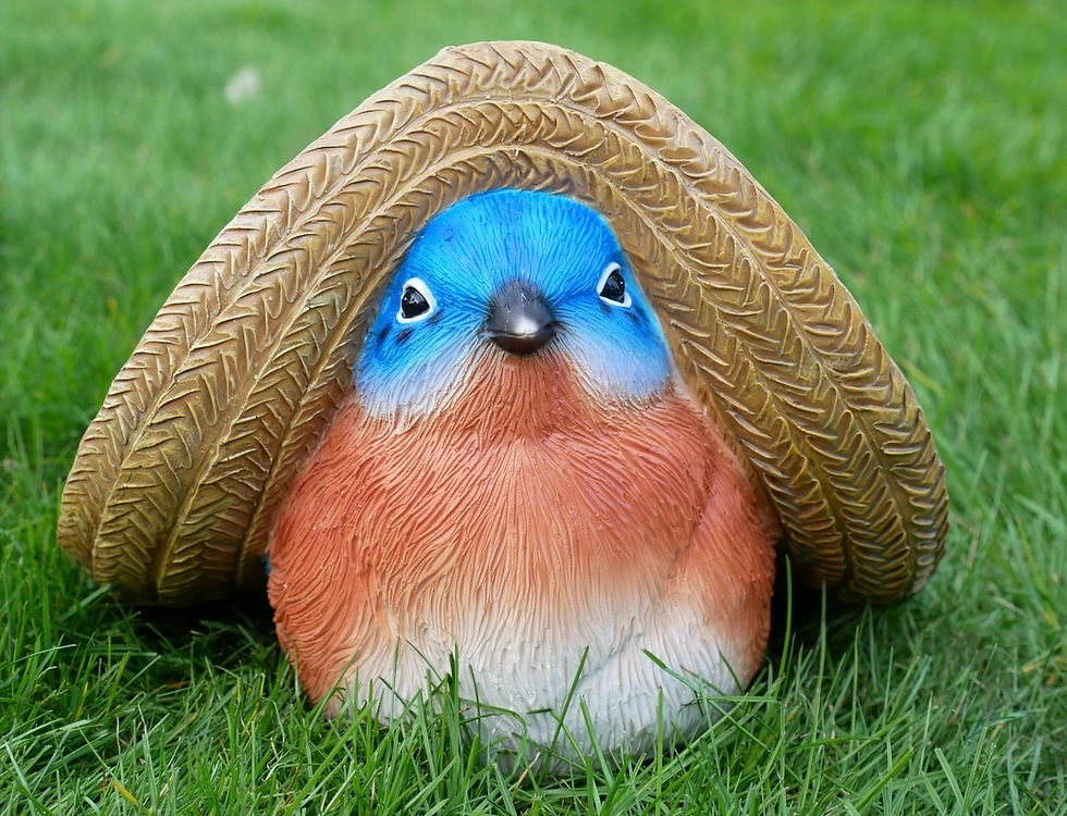 Thumbnail: Bird with Large Hat