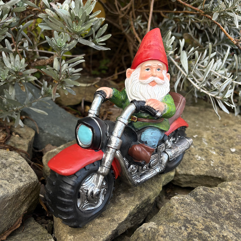 Thumbnail: Grandpa Gnome on Motorbike