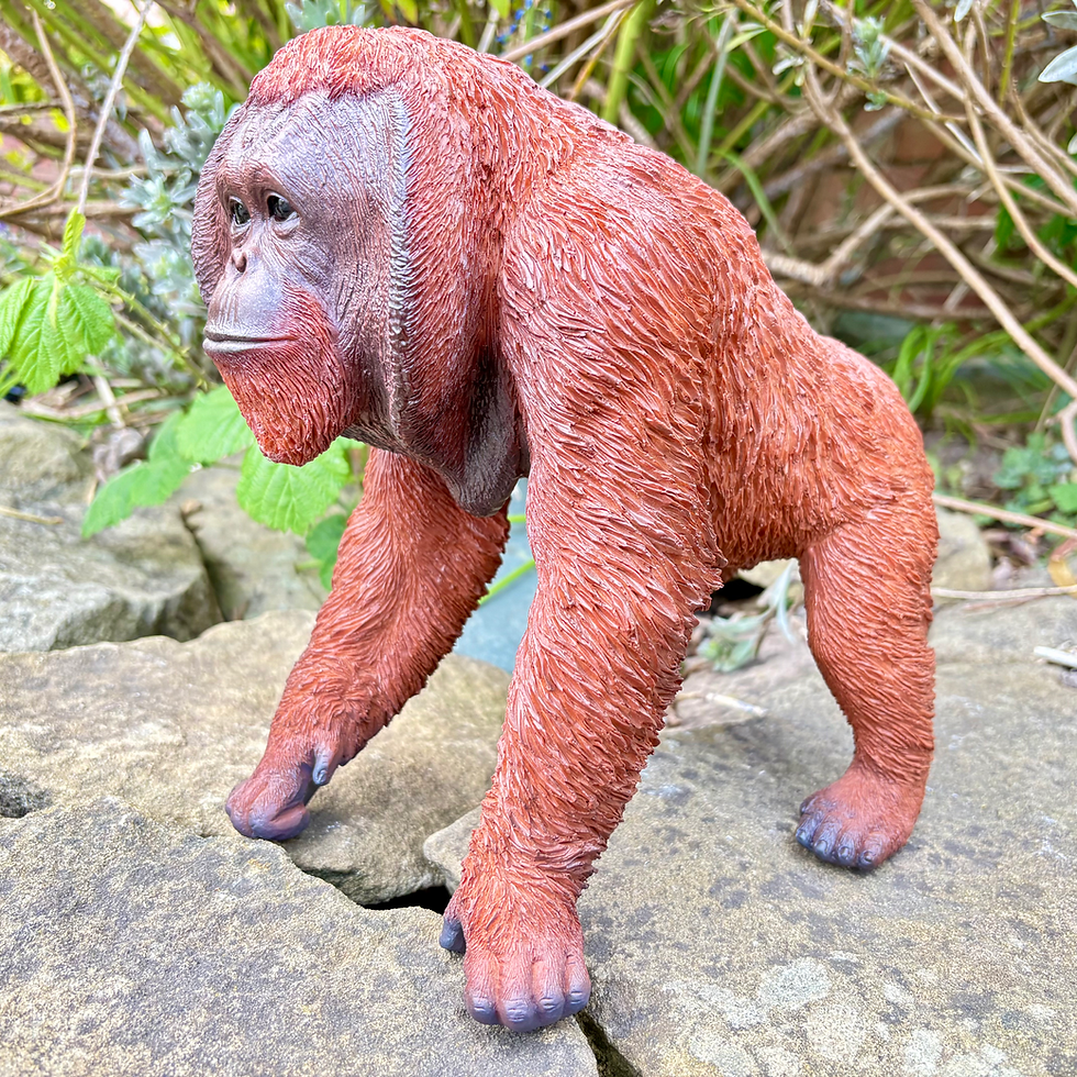 Thumbnail: Vivid Arts - Active Orangutan