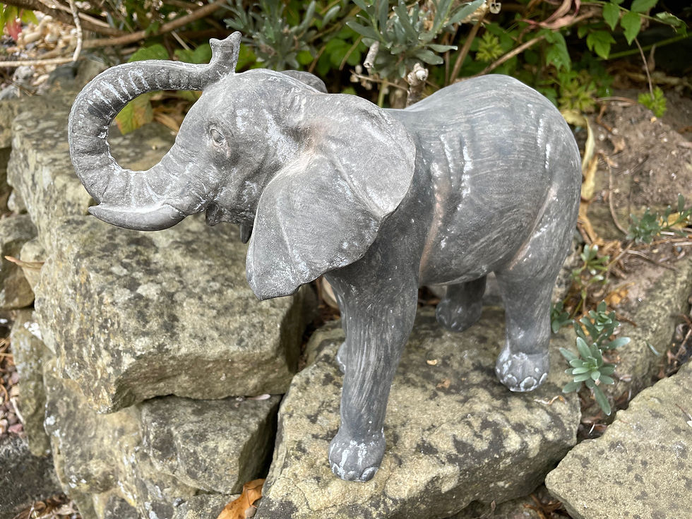 Thumbnail: Elephant 