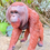 Thumbnail: Vivid Arts - Active Orangutan