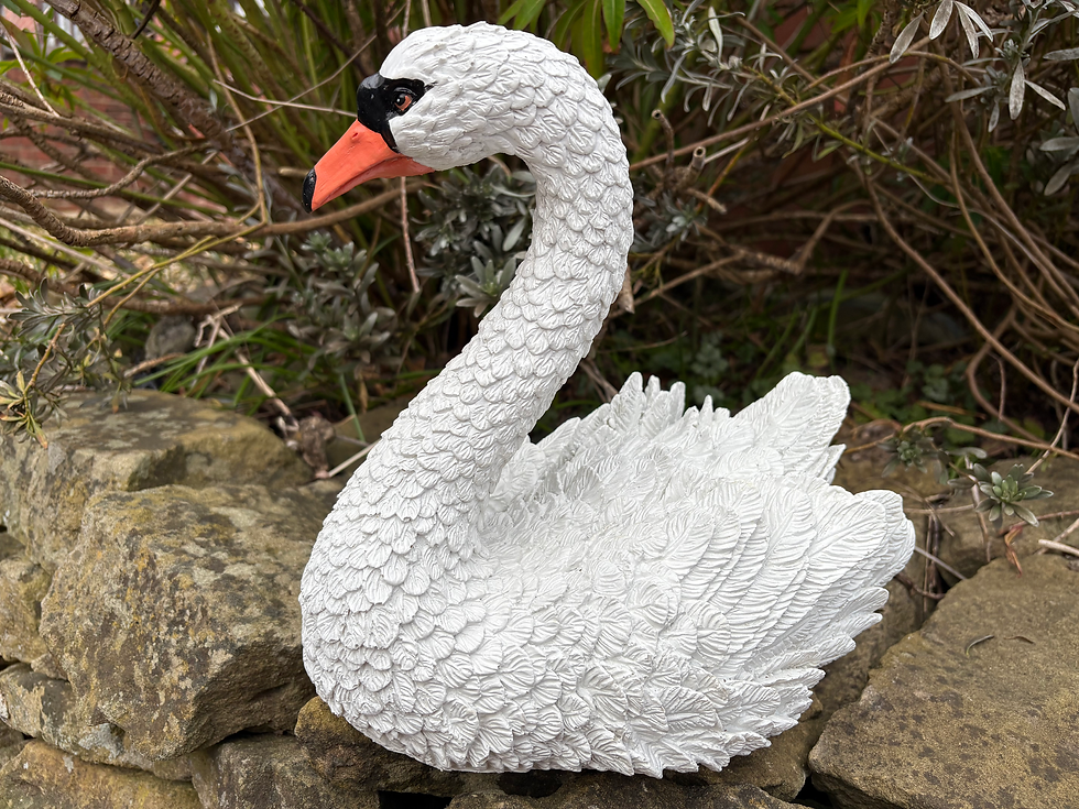 Thumbnail: White Swan