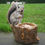 Thumbnail: Squirrel Log Feeder