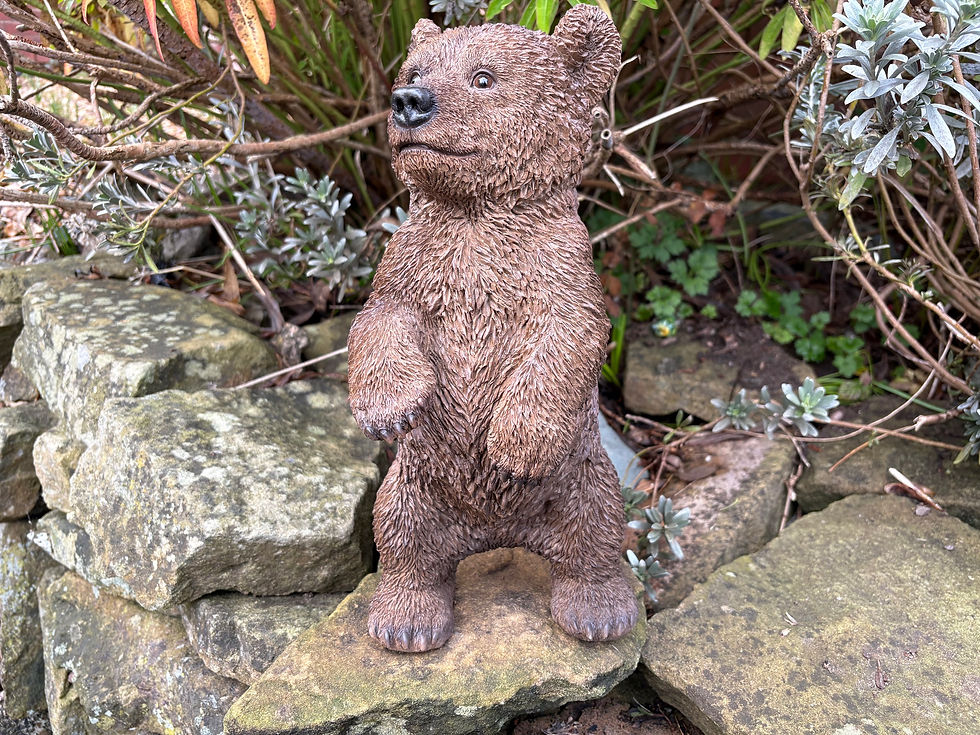Thumbnail: Vivid Arts - Standing Bear Cub