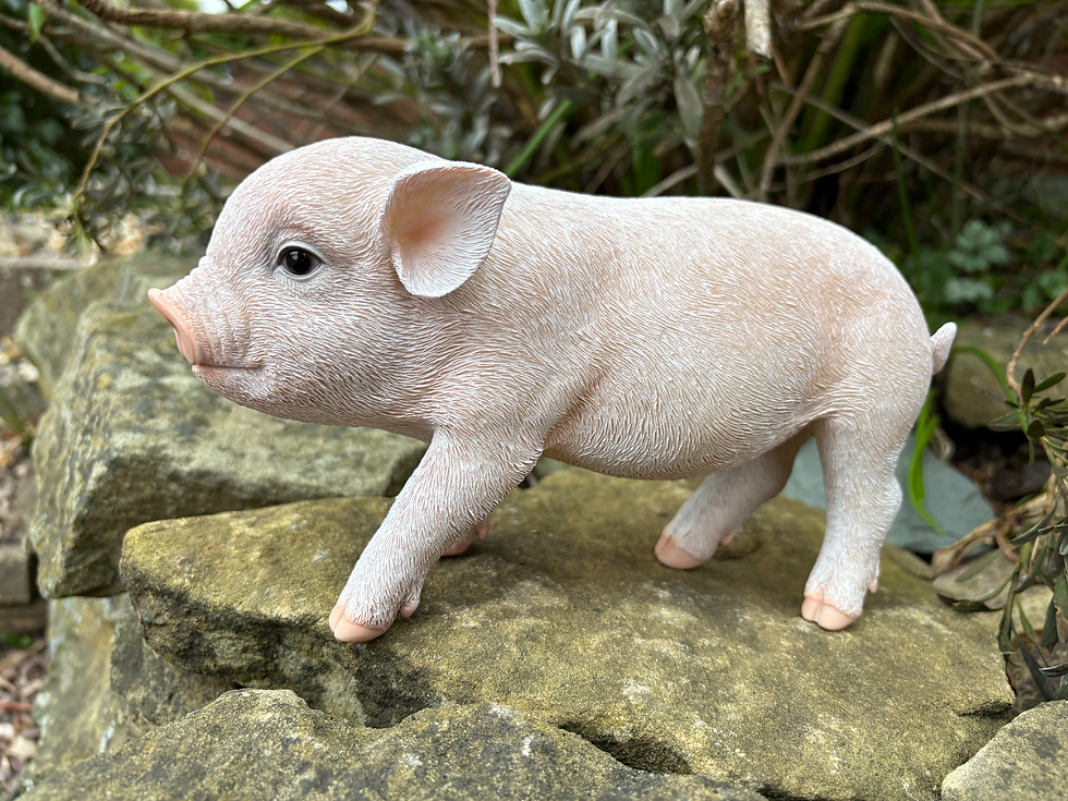 Thumbnail: Vivid Arts - Pink Micro Pig