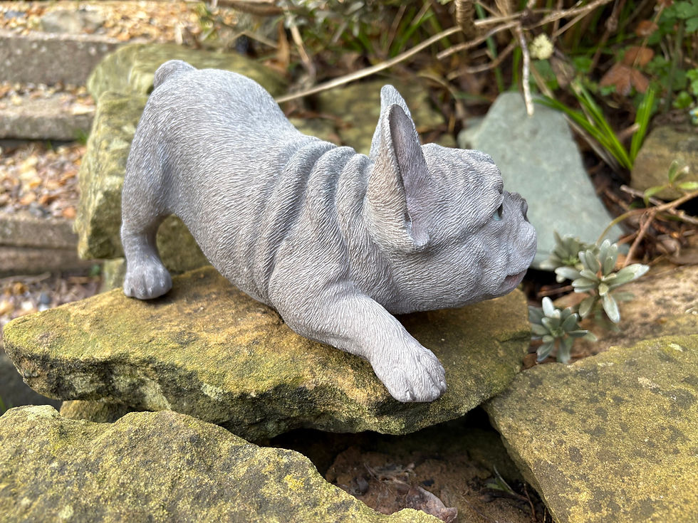 Thumbnail: Vivid Arts - Playing Blue French Bulldog