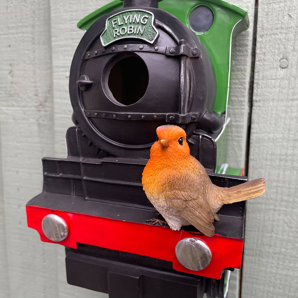 Thumbnail: Vivid Arts - Flying Scotsman Robin Birdhouse
