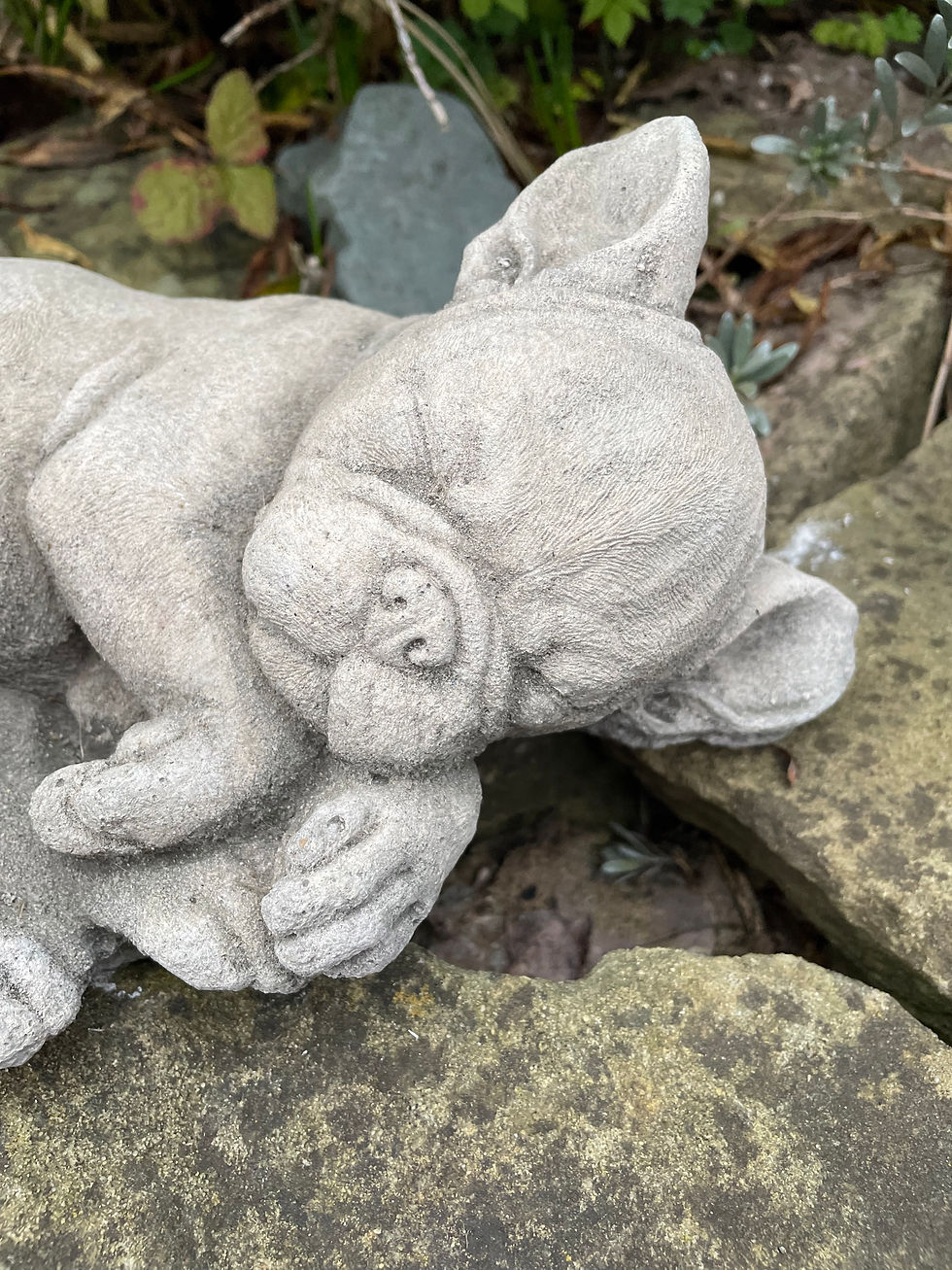 Thumbnail: Stone Garden Ornament - Sleeping Frenchie