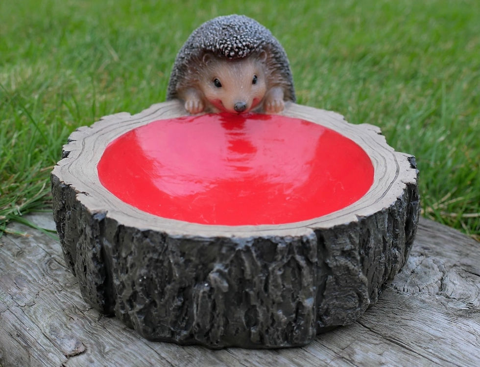 Thumbnail: Hedgehog Bowl