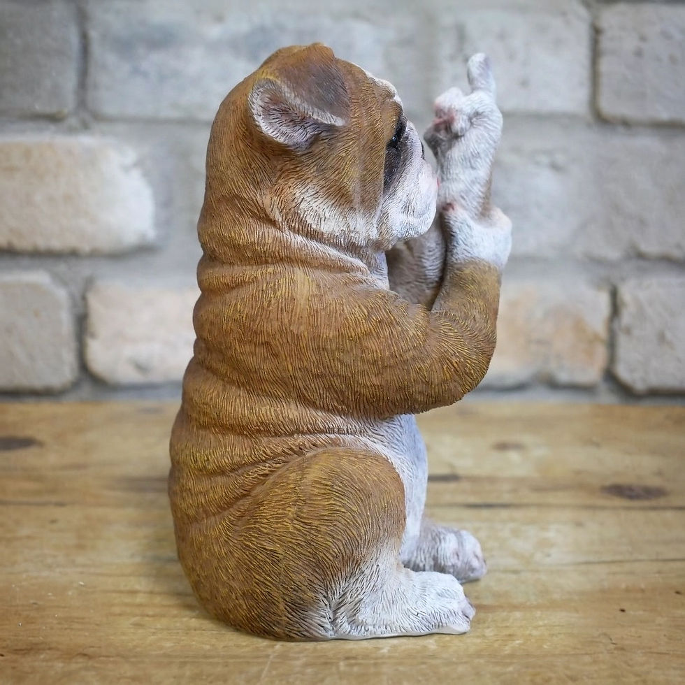 Thumbnail: Up Yours Bulldog