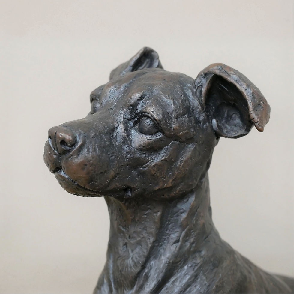 Thumbnail: Sitting Jack Russell