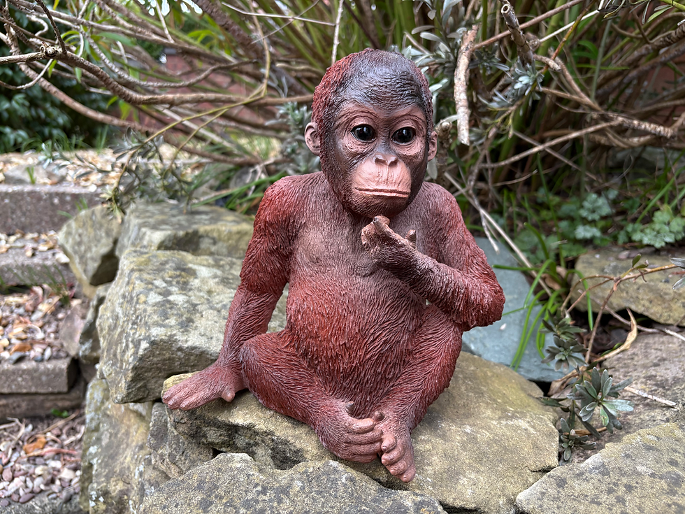 Thumbnail: Vivid Arts - Baby Orangutan