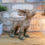 Thumbnail: Dog in the Wind