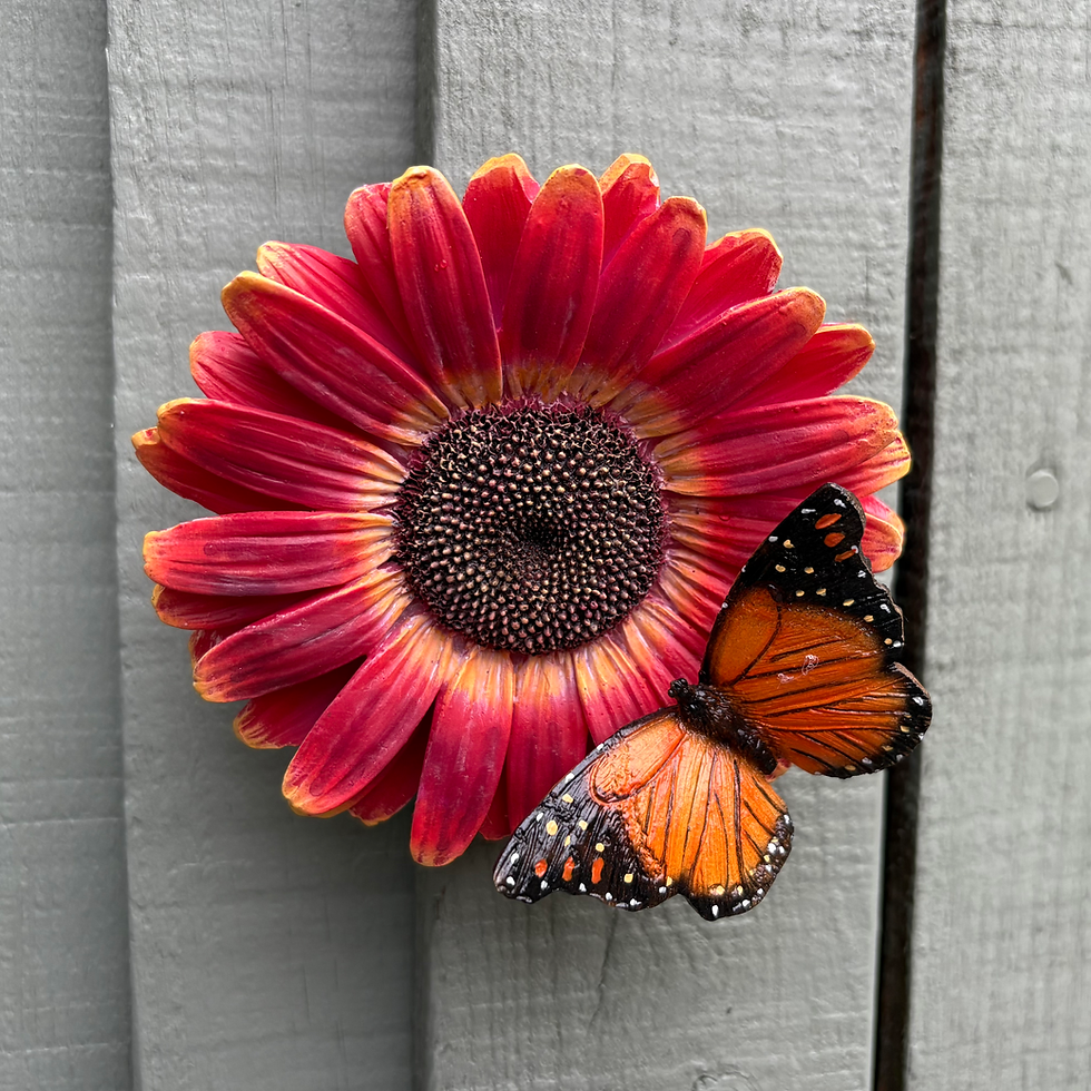 Thumbnail: Vivid Arts - Red African Daisy with Butterfly 
