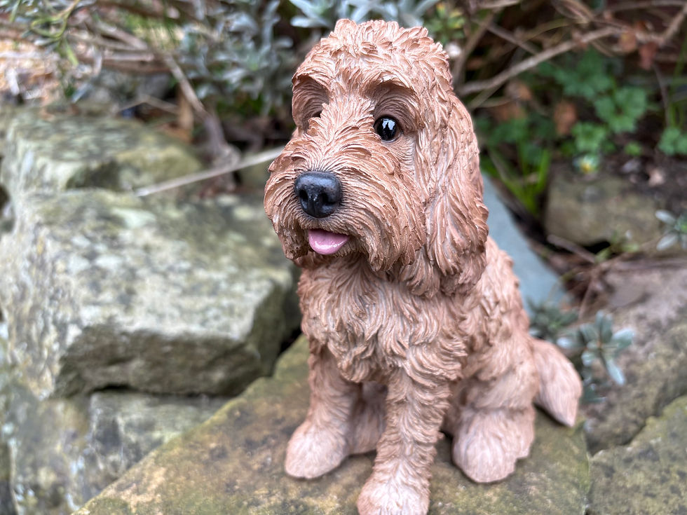 Thumbnail: Vivid Arts - Sitting Cockapoo