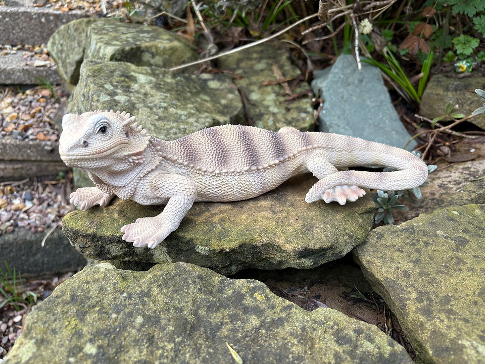 Thumbnail: Vivid Arts - Bearded Dragon 