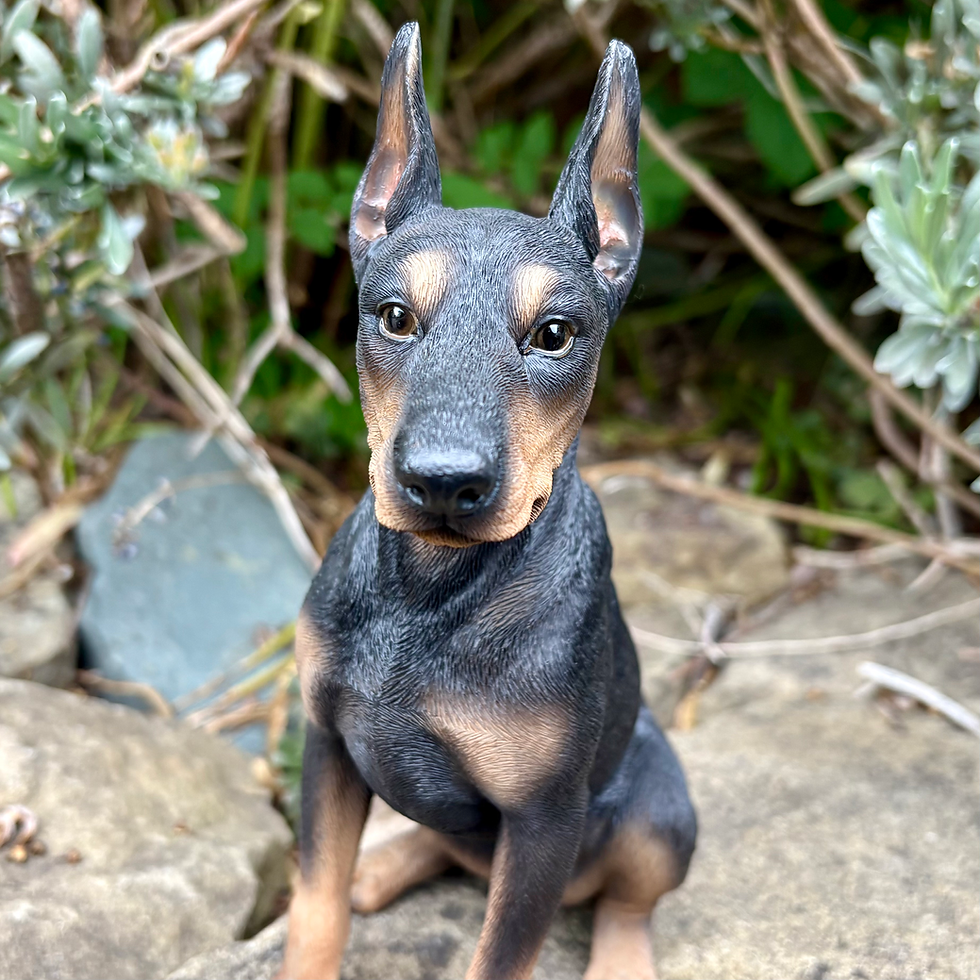 Thumbnail: Vivid Arts - Doberman Pinscher