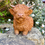 Thumbnail: Vivid Arts - Highland Cow Planter