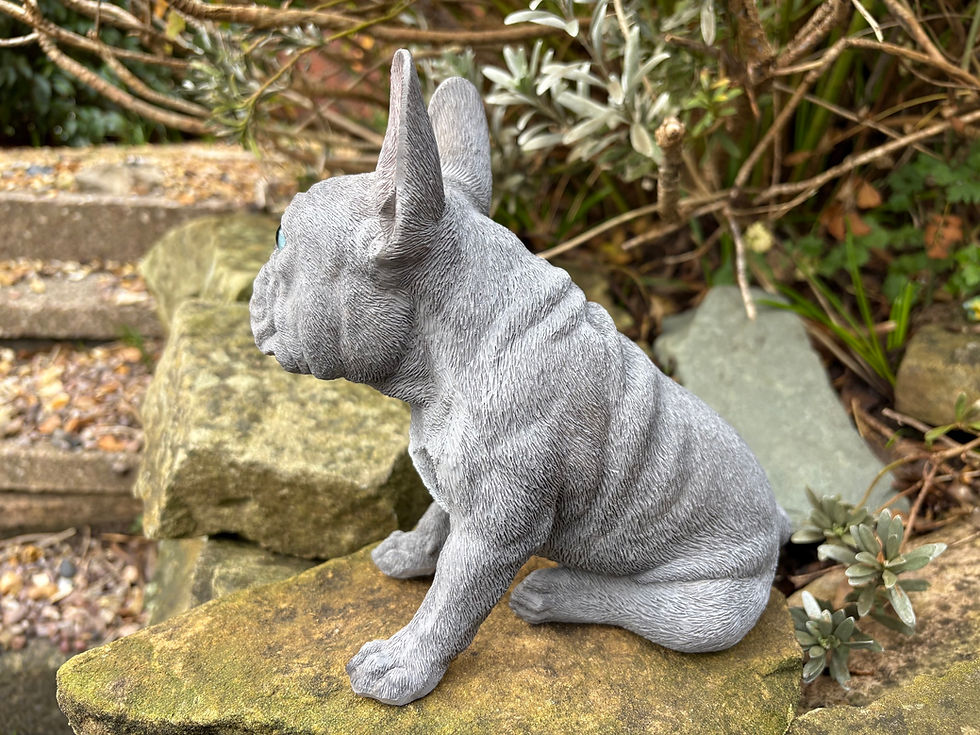 Thumbnail: Vivid Arts - Sitting Blue French Bulldog