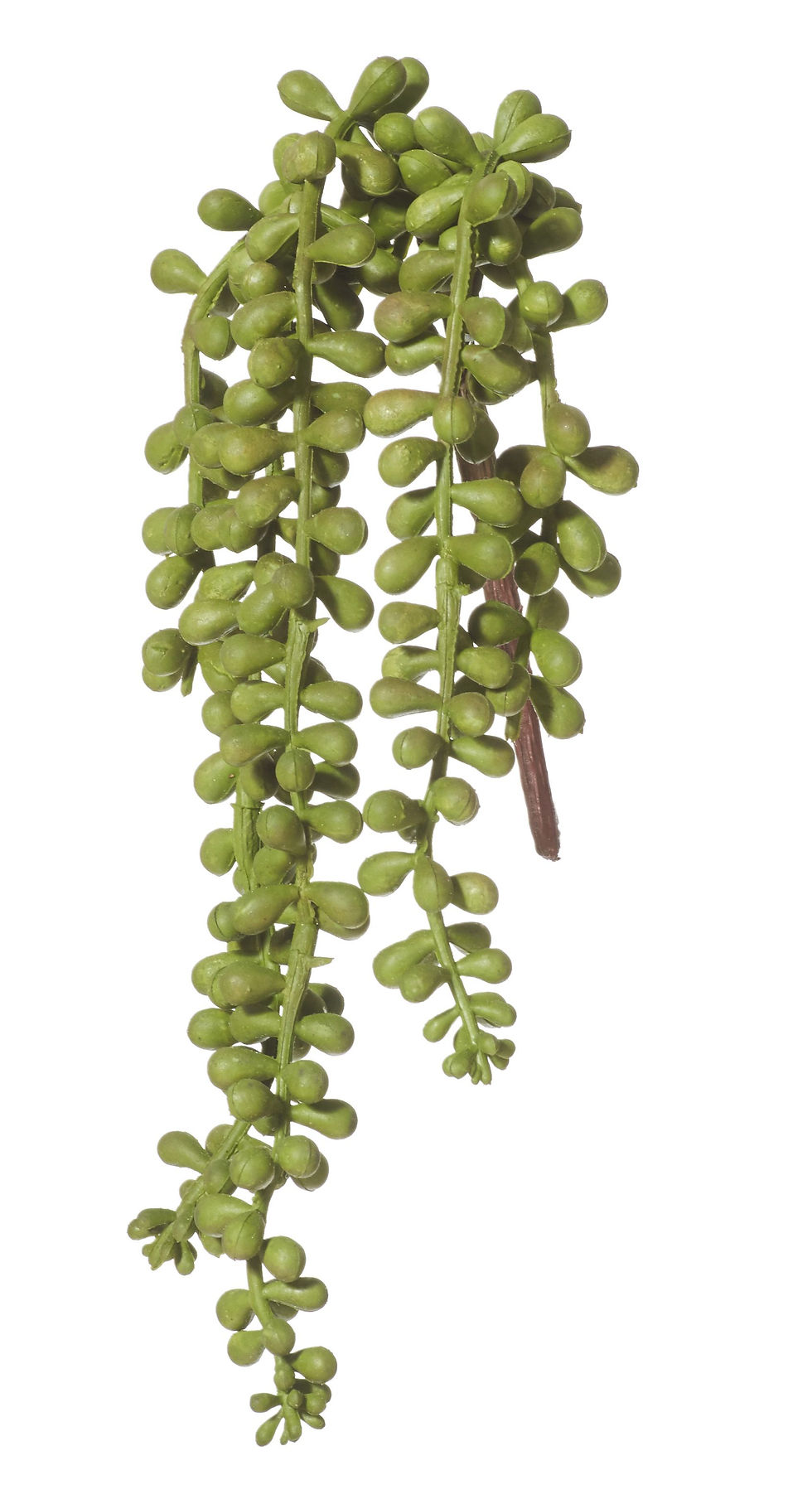 Thumbnail: Hanging Pearls - Loose