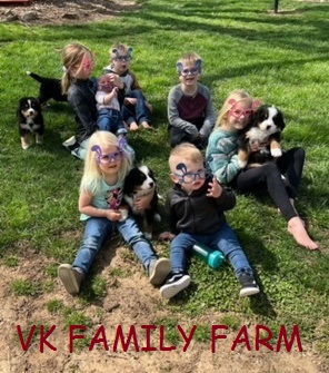GRANDKIDS 4923.jpg