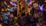 🍫🐉 The Day of Farming, Crystal Mining, and the Great Chocolate Catastrophe <chapter3>
