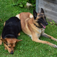 DSC_0813.JPG