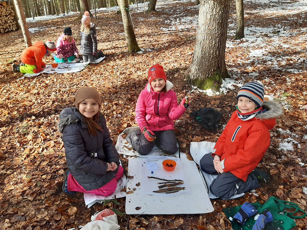 Waldtag 1. Klasse