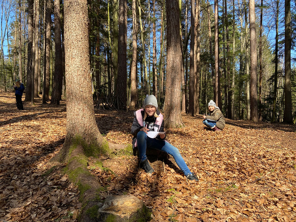 Waldtag 4. Klasse