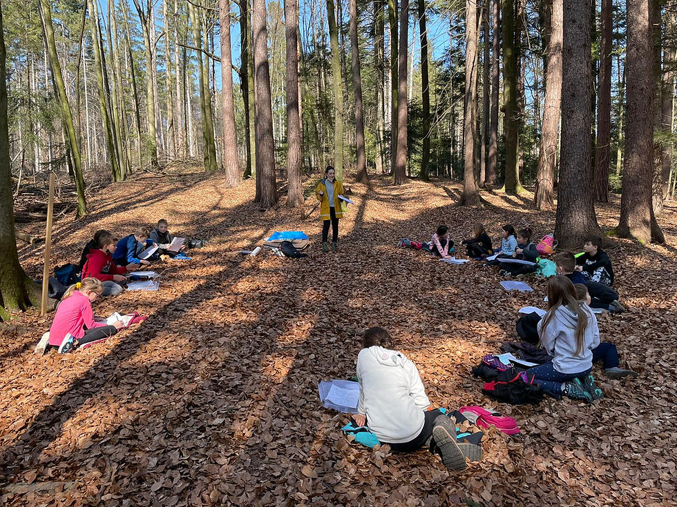 Waldtag 3