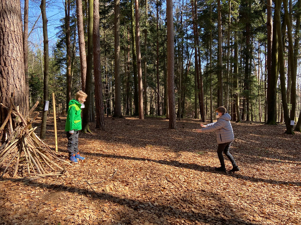 Waldtag 4. Klasse