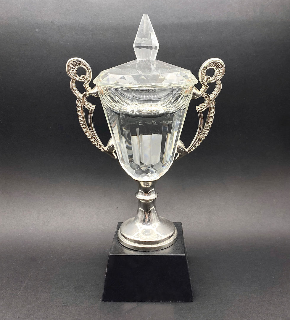 JCY052  Crystal Cup with Silver Handles and Stem
