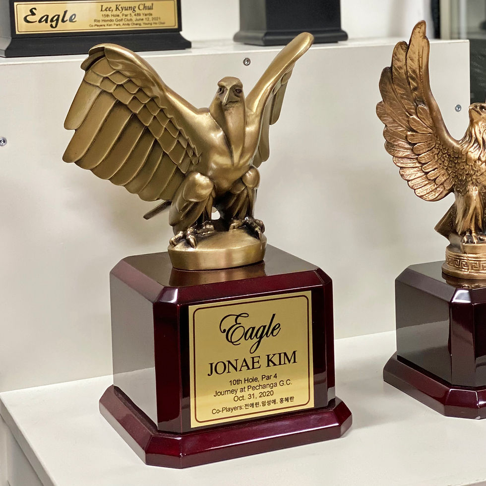 Thumbnail: Bronze Eagle Award