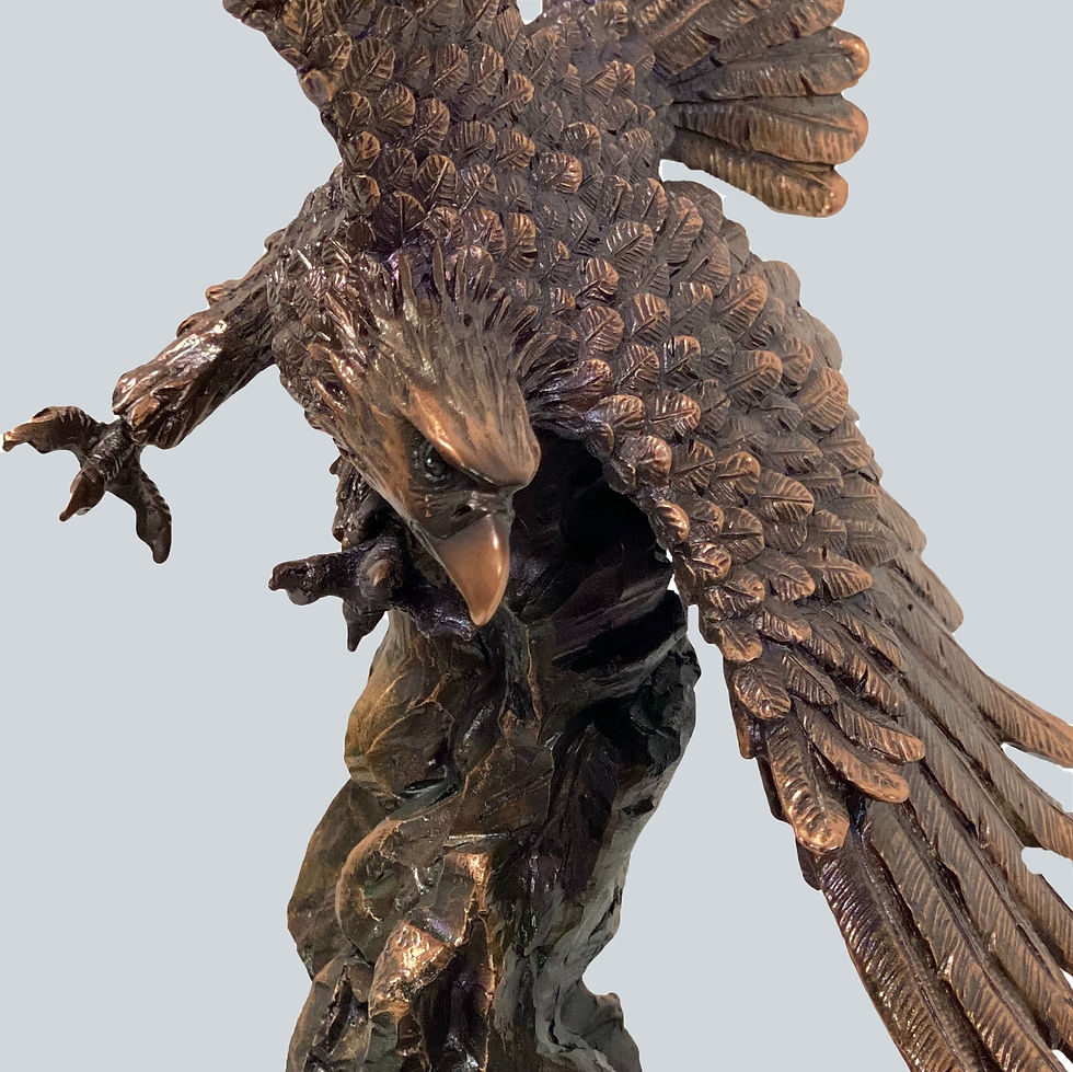 Thumbnail: Excellence Eagle TN51126