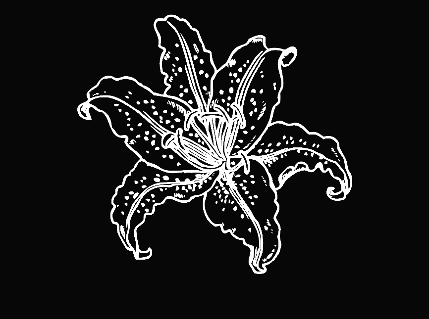 Bougie gravée : fleur1