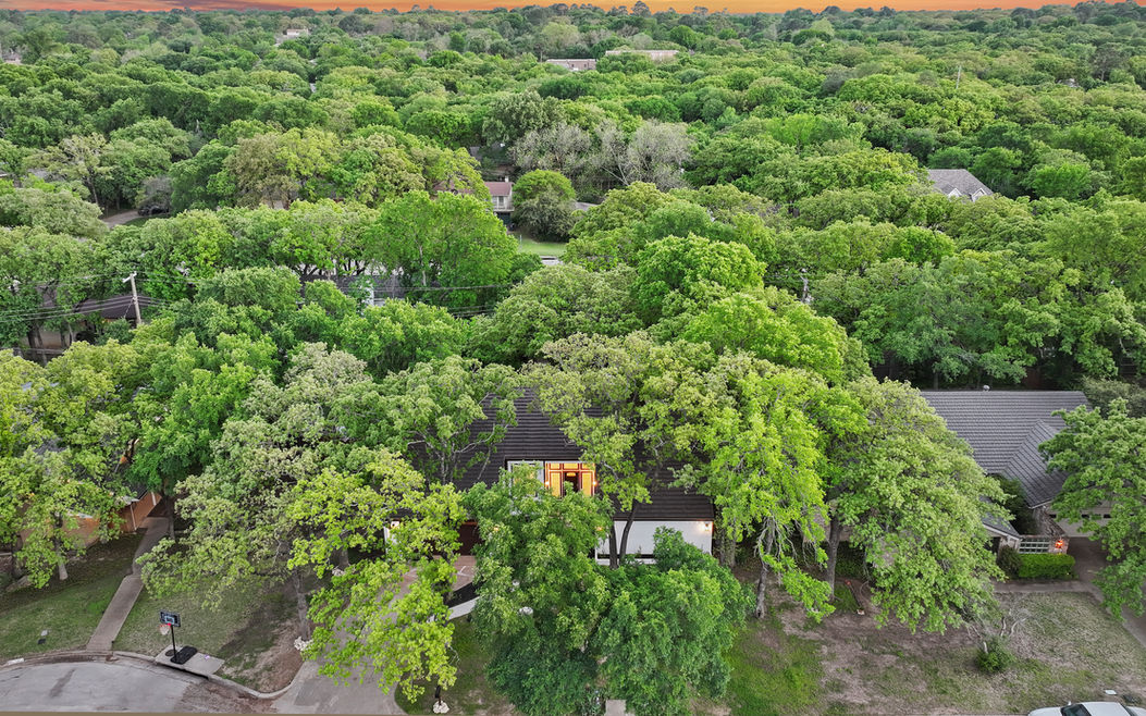 Aerial view of 1200 Carroll Ave, Duncanville — tree-lined lot with roof and driveway visible