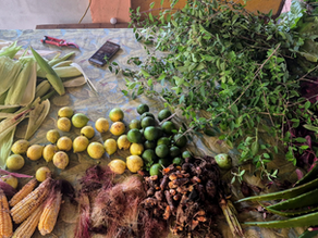 A Taste of the Land: Cooking with Purpose at Finca Sol y Valle