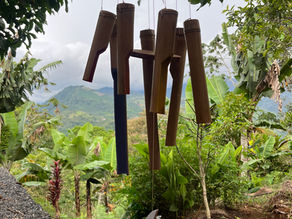 Can wind chimes brighten your day?