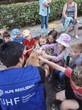 Canine-Assisted Therapy Supporting War-Affected Children in Ukraine