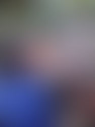 Canine-Assisted Therapy Supporting War-Affected Children in Ukraine