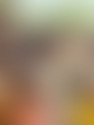 Green School Gardens Project Takes Root in Lutsk, Ukraine