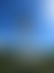 ALPS Resilience Launches Phase 4 of Palma Water Rehabilitation Project